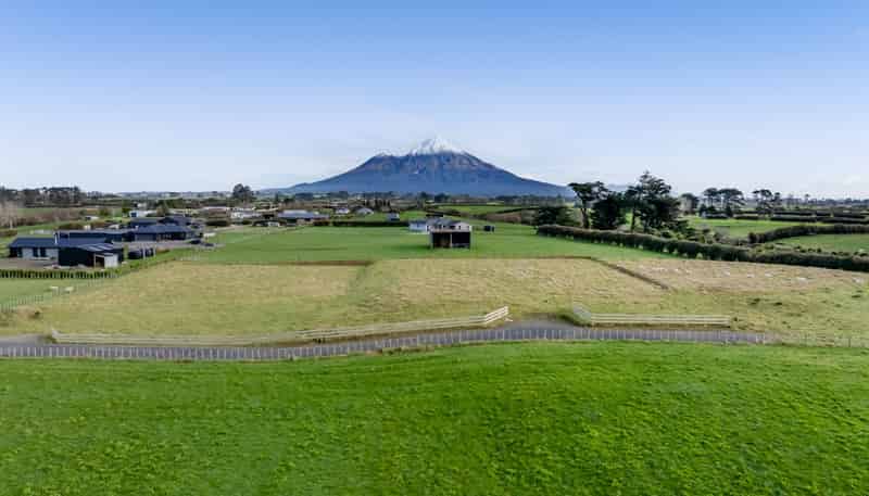 42 Monmouth Road Sections, Stratford