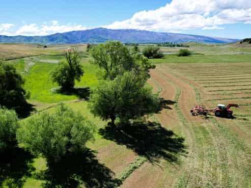 57 Golden Road, Alexandra