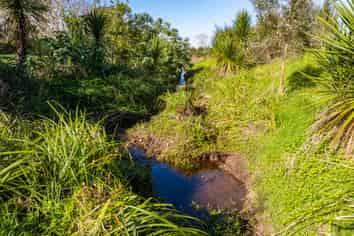 3/69A Vineyard Lane, Mangawhai