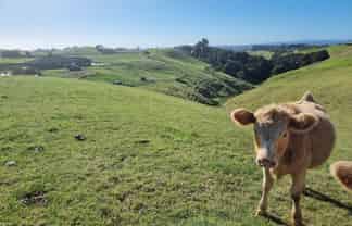 1190 Awhitu Road, Waiuku