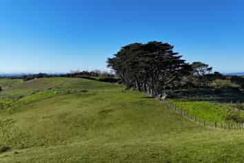 1190 Awhitu Road, Waiuku