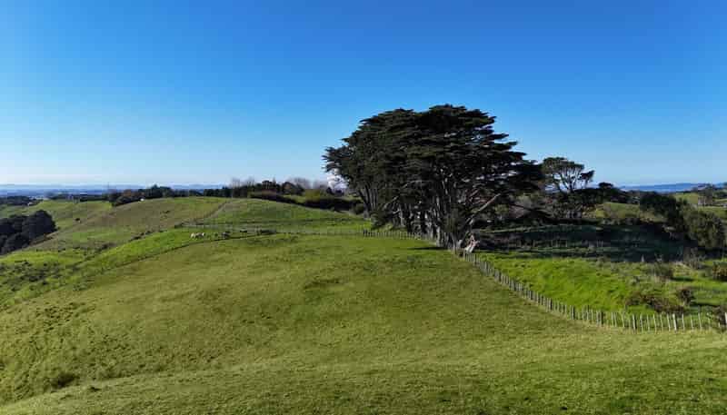 1190 Awhitu Road, Waiuku