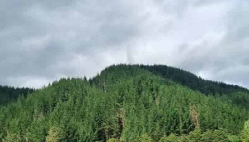 49 Mangahoe Road, Owhango