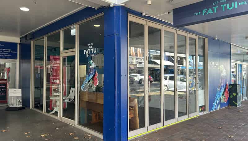 219 Trafalgar Street, Nelson