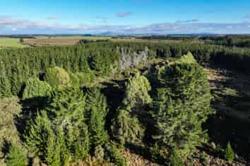 746 Lawson Road, Awarua