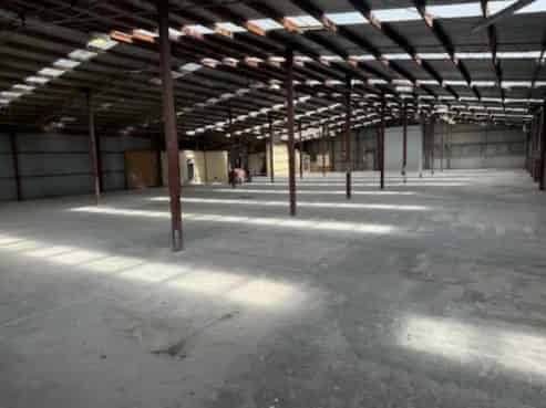Big and Basic Warehouse - Cheap!