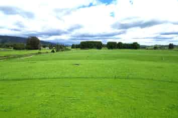 2646 State Highway 4, Owhango
