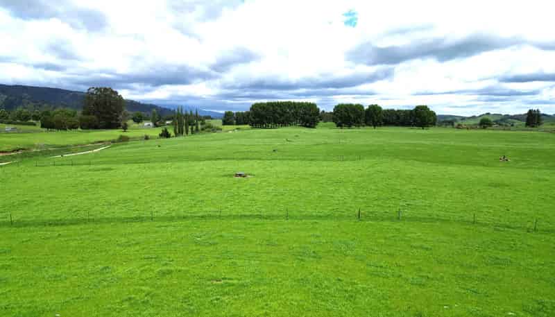 2646 State Highway 4, Owhango