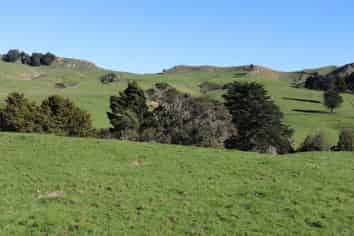 1141 Waingaro Road, Ngaruawahia
