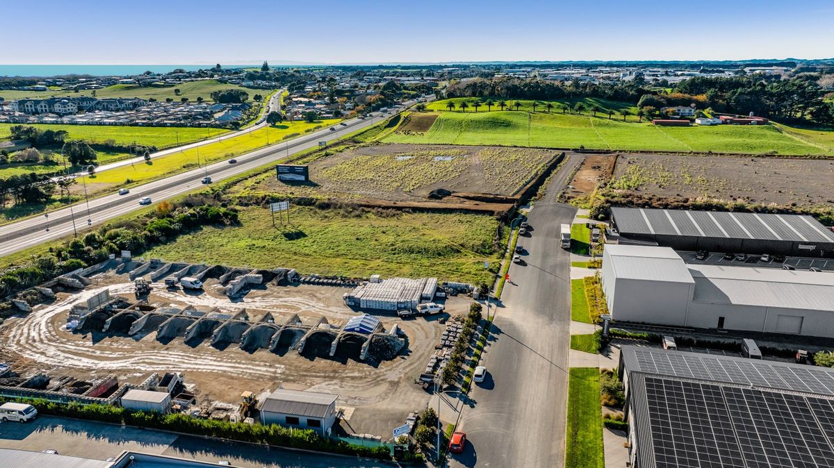 Rare Earth at New Plymouths Northern Gateway - Vaade 5