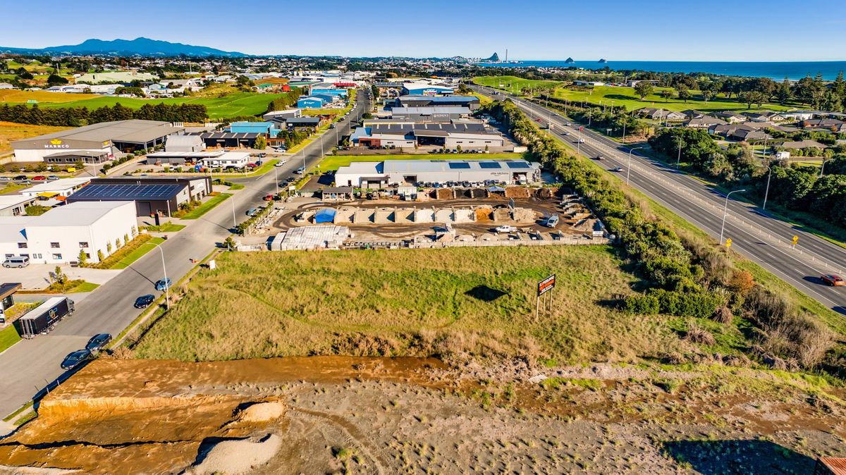 Rare Earth at New Plymouths Northern Gateway - Vaade 4