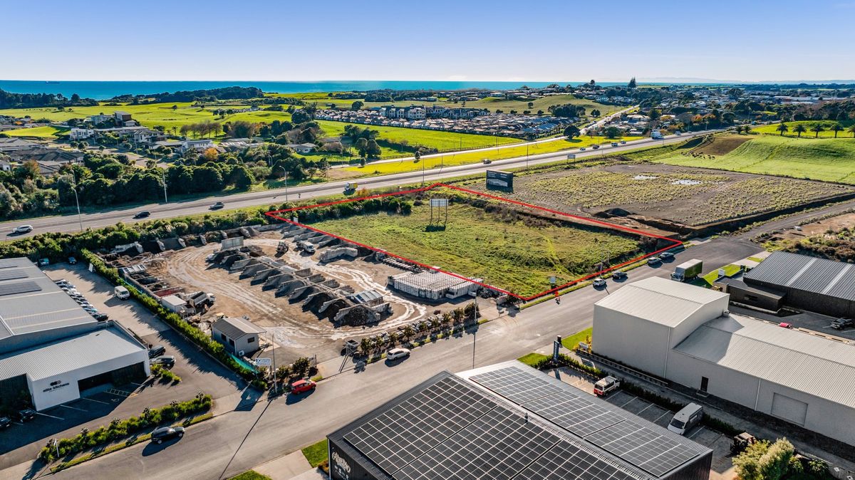 Rare Earth at New Plymouths Northern Gateway - Vaade 2