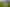 1328 Upland Road, Kaimiro