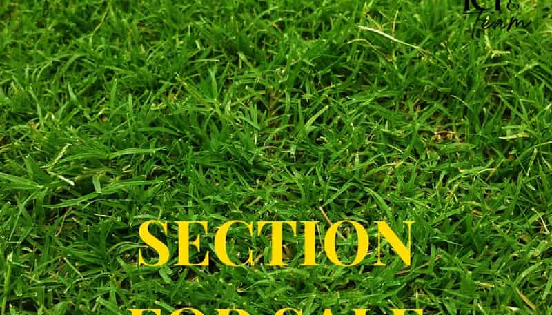 31 or 29 McMenamin Place, Fairview Heights