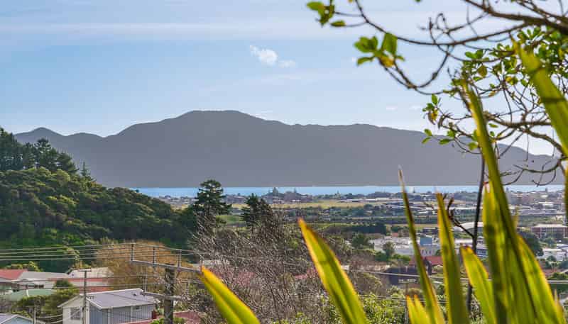 107 Ruapehu Street, PARAPARAUMU