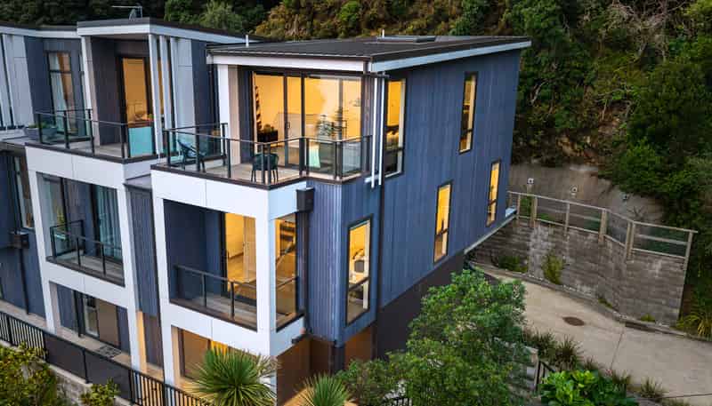 1C Wilkinson Street, Oriental Bay