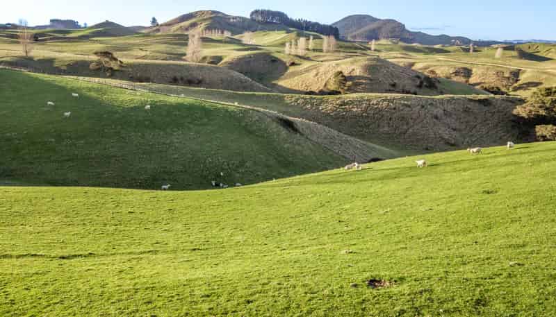 Lots 1 & 2 Taihape Road, Sherenden