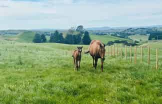 Lot Lots 1 Taihape Road, Sherenden