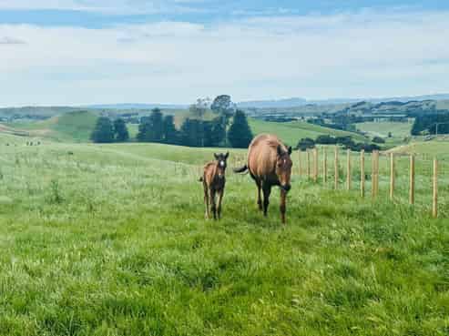  Taihape Road, Sherenden
