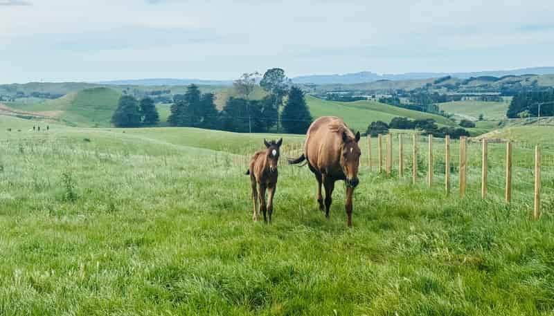 Taihape Road, Sherenden