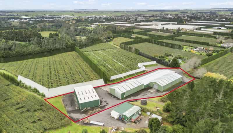 288 No 3 Road, Te Puke