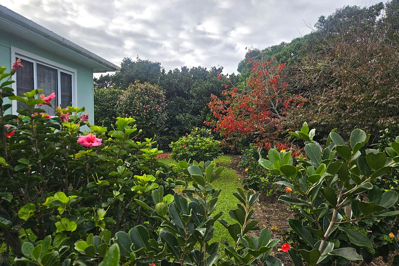 LIFESTYLE RETREAT, WAIHARARA - Vaade 3