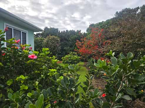 2299 State Highway 1, Waiharara