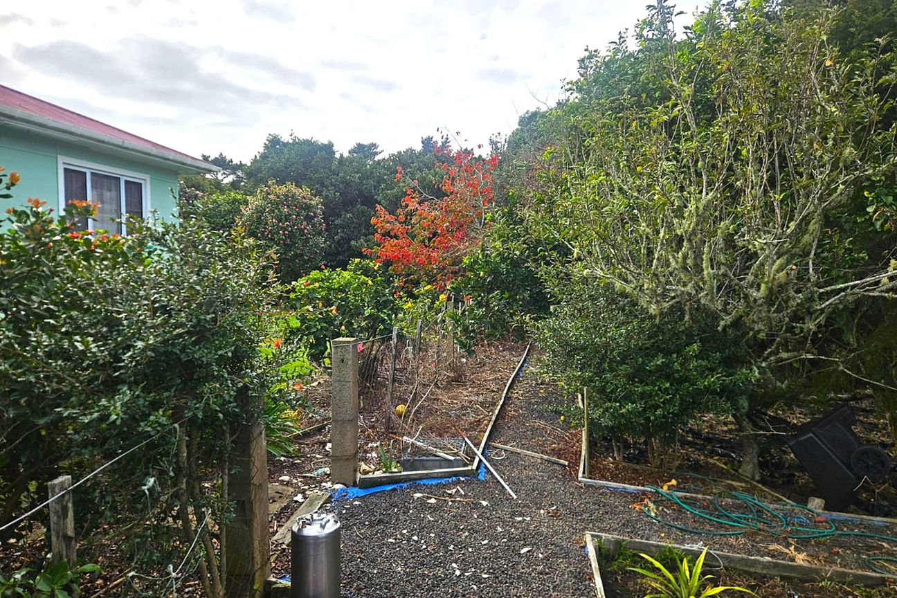 LIFESTYLE RETREAT, WAIHARARA - Veel