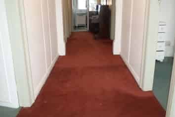 830 Cumberland Street, North Dunedin