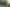 17 Shamrock Street, Takaro