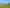 Mighty Waikato Land on Auckland’s Doorstep