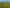 Mighty Waikato Land on Auckland’s Doorstep