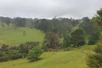 Auckland - Address withheld