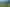 Wellington - Address withheld