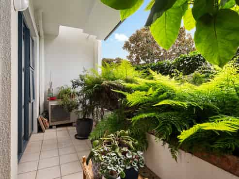 1F/220 Victoria Street West, Freemans Bay