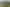 Northland - Address withheld