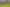 Northland - Address withheld