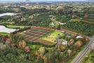 11 Gill Lane, Whakamarama, Western Bay Of Plenty, Bay of Plenty
