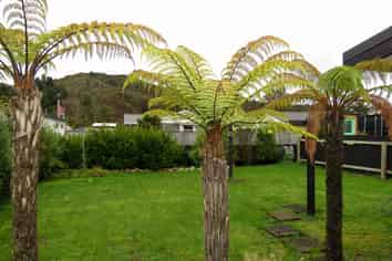 75 Shiel Street, Reefton