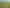 Lot 1 590 Wardville Rd - STT, Matamata