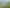 Lot 1 590 Wardville Rd - STT, Matamata