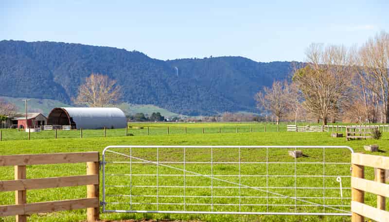 Lot 2 590 Wardville Rd - STT, Matamata
