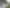 Gisborne - Address withheld