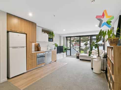 604/166 Victoria Street, Te Aro