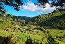 186 Stratton Street, Normandale, Lower Hutt City, Wellington