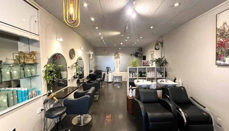  59B Cambridge Terrace, Te Aro