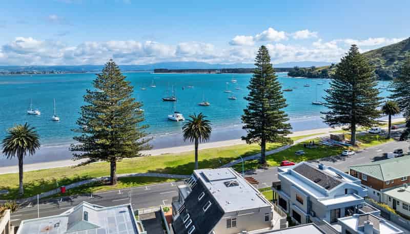 1/28 The Mall, Mount Maunganui