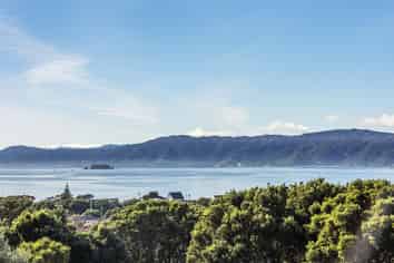 74 Falkirk Avenue, Seatoun