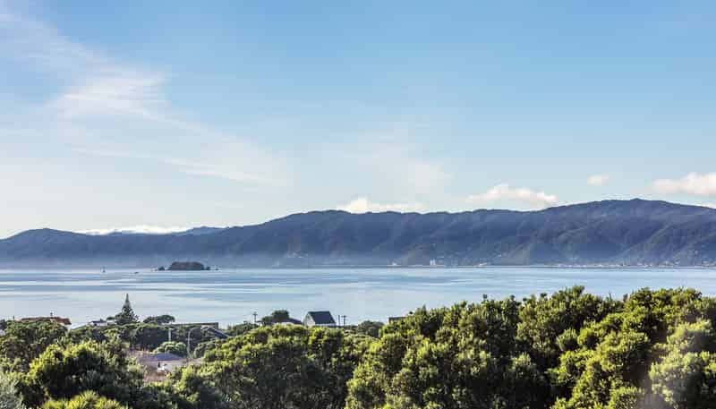 74 Falkirk Avenue, Seatoun