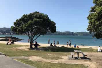 4/154 Oriental Parade, Oriental Bay